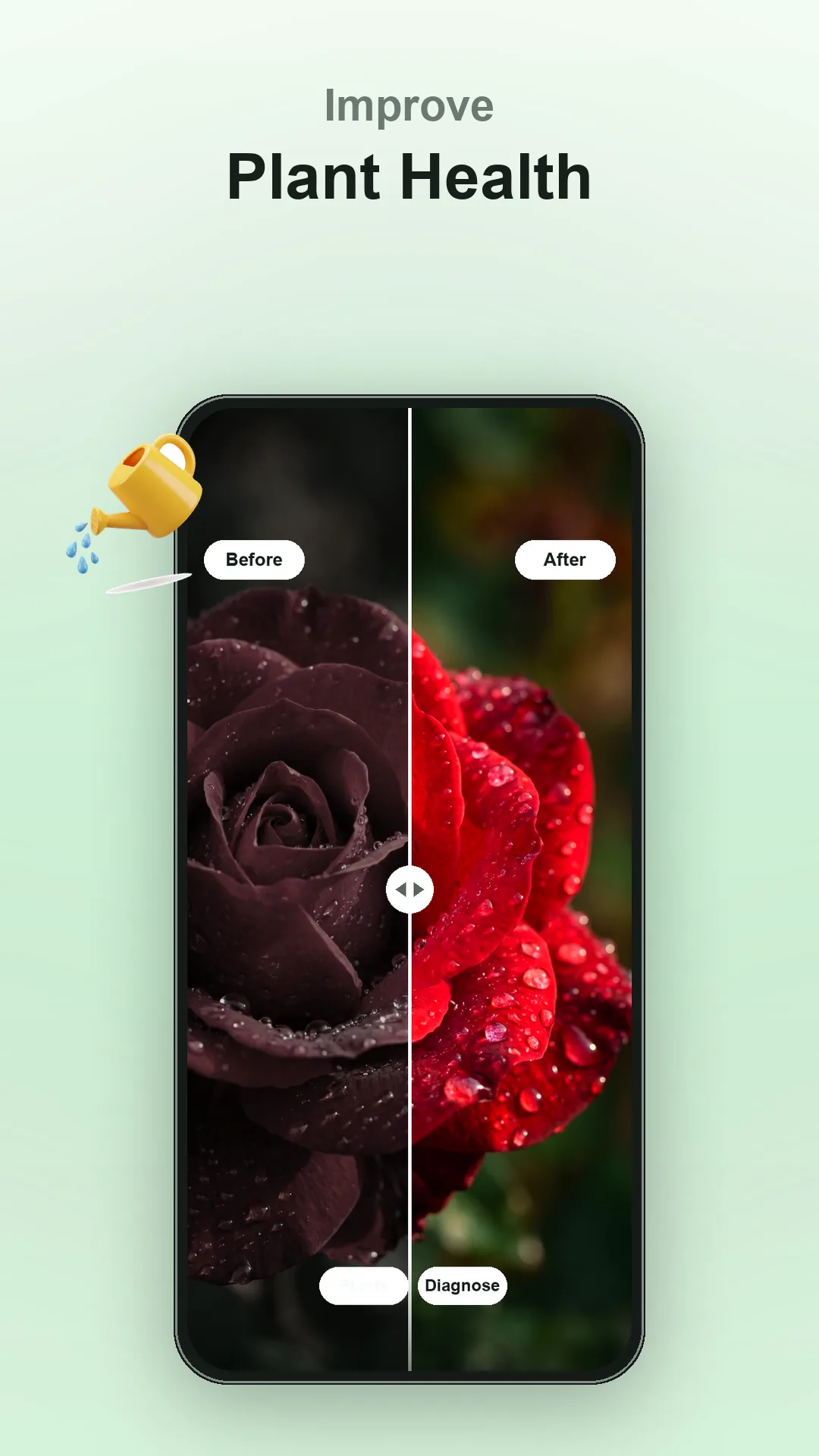 Plantia screen 6